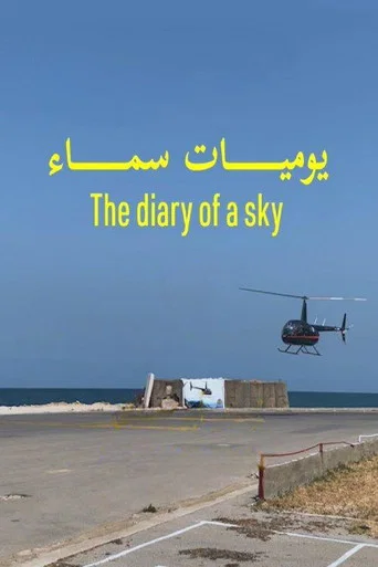Movie poster for The Diary of a Sky (2024)