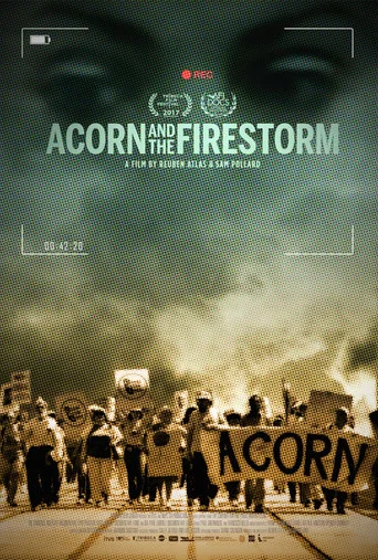 Movie poster for Acorn and the Firestorm (2017)