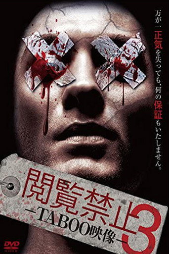 Movie poster for Viewing Prohibited 3 TABOO Video (2014)