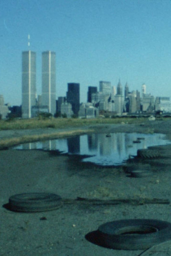 Movie poster for New York. Ein visuelles Arbeitstagebuch (1979)