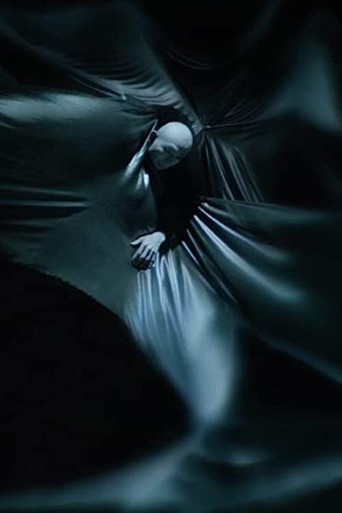 Singularity Song poster