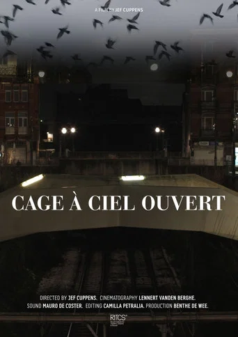 Movie poster for Cage À Ciel Ouvert (2025)