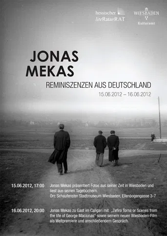 Movie poster for Reminiscences from Germany (2012)
