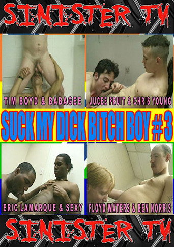 Movie poster for Suck My Dick Bitch Boy 3 (2014)