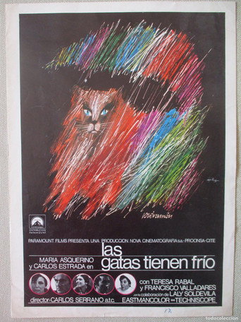 Movie poster for Las gatas tienen frío