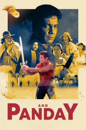 Movie poster for Ang Panday (1980)