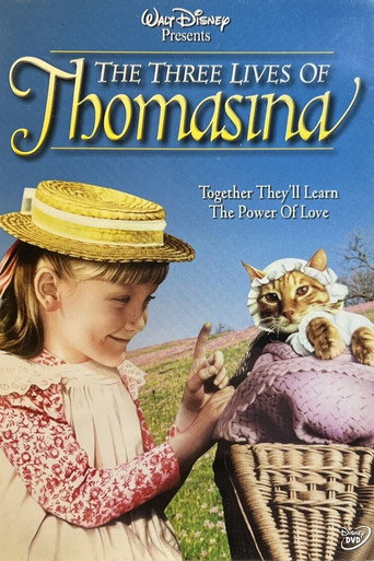 Disney's Beautiful Witch poster