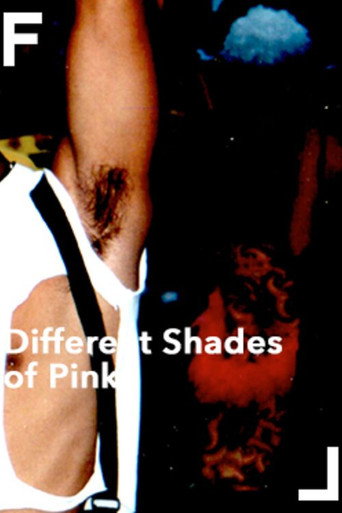 Movie poster for Different Shades of Pink (2001)