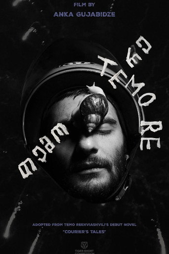 Movie poster for Temo Re (2025)
