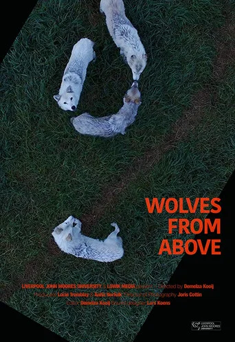 Movie poster for Wolves From Above (2017)