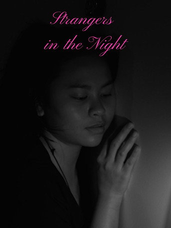 Movie poster for Strangers in the Night (2024)
