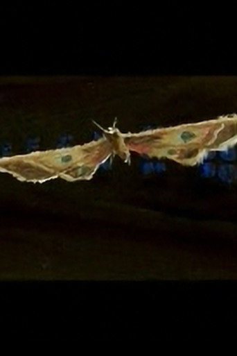 Movie poster for Tooryanse (2004)