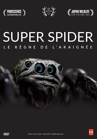 Movie poster for Super Spider (2012)