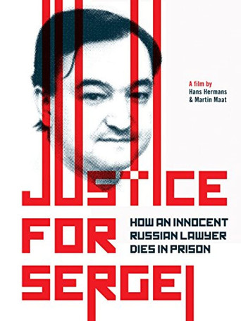 Movie poster for Justice for Sergei (2010)