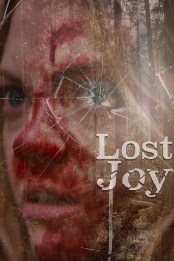 Movie poster for Lost Joy (2025)