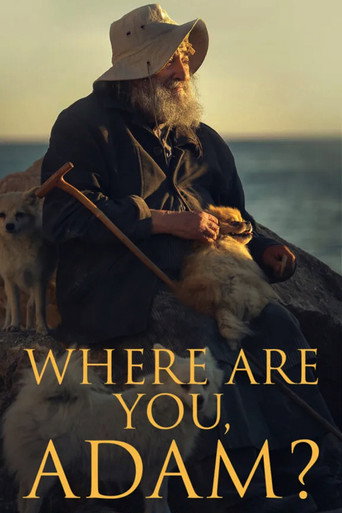 Movie poster for Where are you, Adam? (2020)