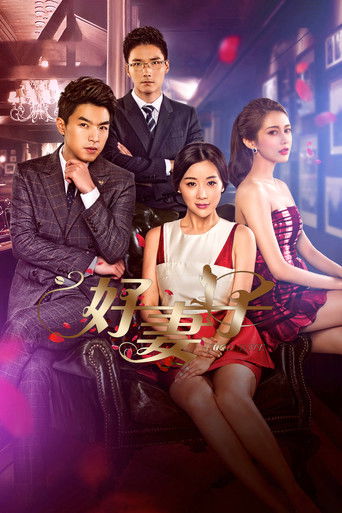 Good Wife poster