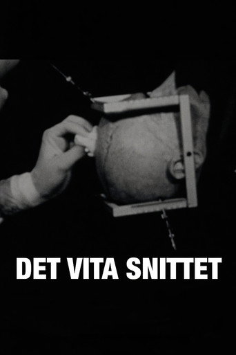 Movie poster for Det vita snittet (2010)