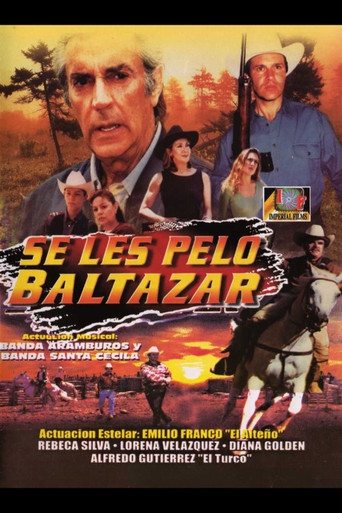 Se les pelo Baltazar poster