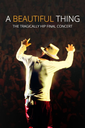 Movie poster for A Beautiful Thing (2026)
