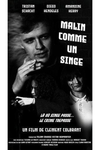 Movie poster for Malin comme un singe (2024)
