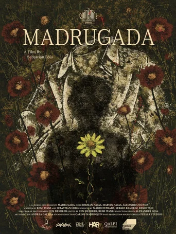 Movie poster for Madrugada (2026)