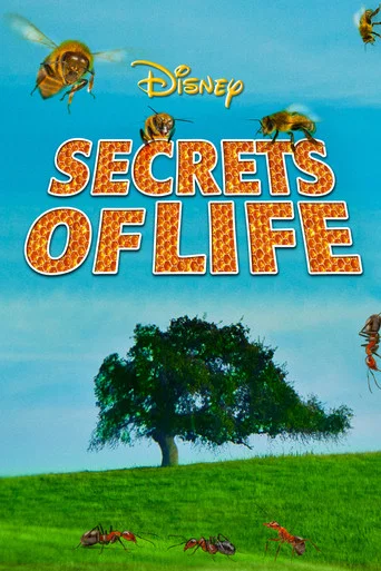 Movie poster for Secrets of Life (1956)