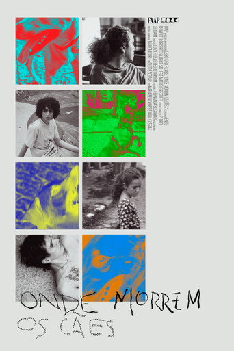 Movie poster for Onde Morrem os Cães