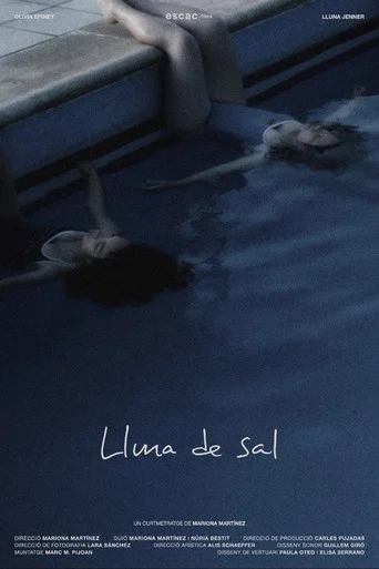 Movie poster for Lluna de Sal