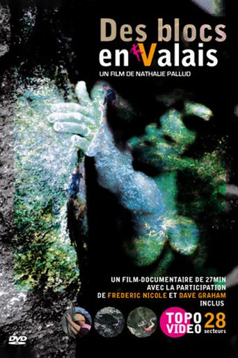 Movie poster for Des Blocs En Valais (2008)