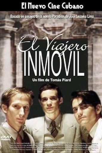 Movie poster for The Immovable Traveler (2008)