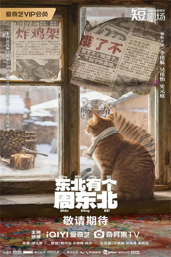 Series poster for 东北有个周东北