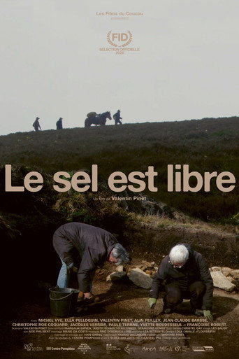 Movie poster for On the Salt Line