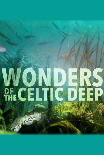 Wonders of the Celtic Deep poster