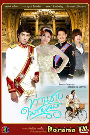 Prince in the Line of Fog poster