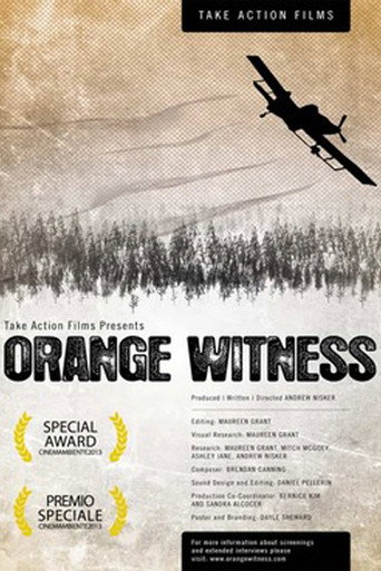 Movie poster for Orange Witness (2012)
