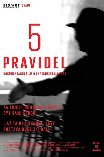 Movie poster for 5 pravidel (2013)