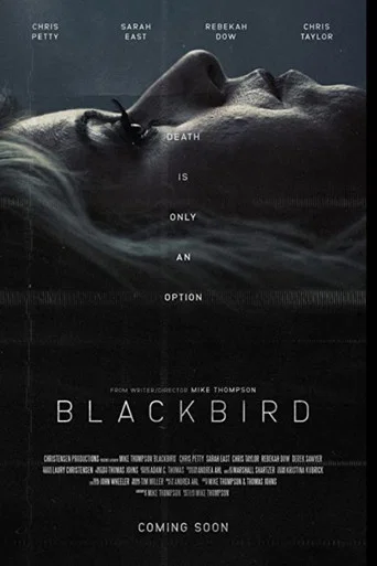 Movie poster for Blackbird (2020)