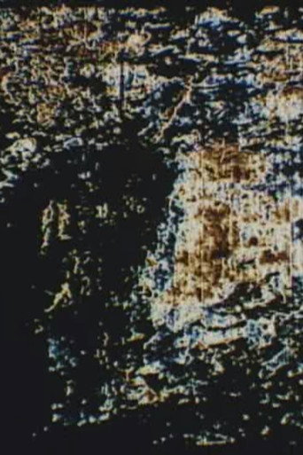 Movie poster for Two Pictures (1999)