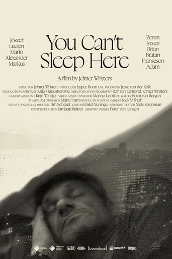 Movie poster for You Can't Sleep Here (2023)