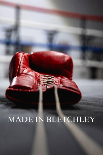Movie poster for Made in Bletchley