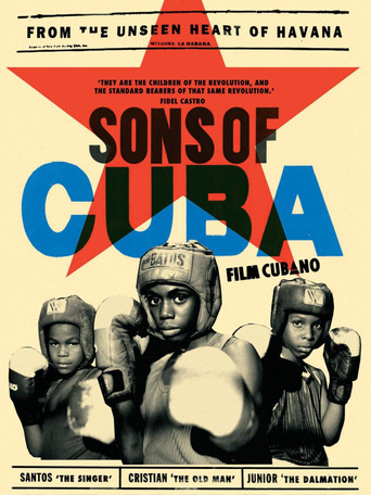 Movie poster for Sons of Cuba (2009)