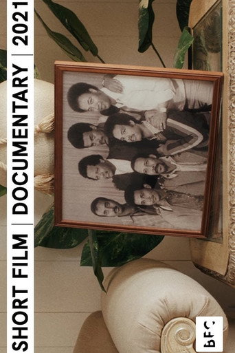 Movie poster for IT IS A SOUL: A Portrait of Hailu Mergia (2021)