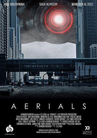 Movie poster for Aerials (2016)