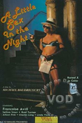 A Little Sex In The Night poster