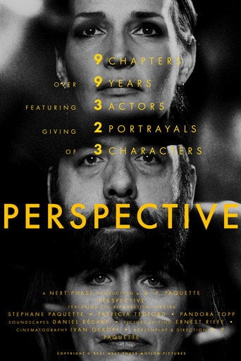 Movie poster for Perspective