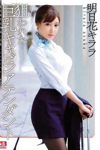 Movie poster for The Big-Titted Cabin Attendant is Targeted (2015)
