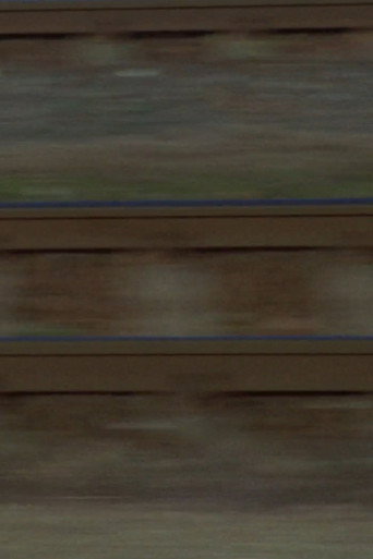 Movie poster for Commute (2025)