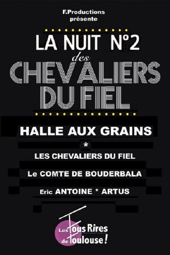 Movie poster for Les Chevaliers du Fiel : La nuit des Chevaliers du Fiel n°2 (2015)