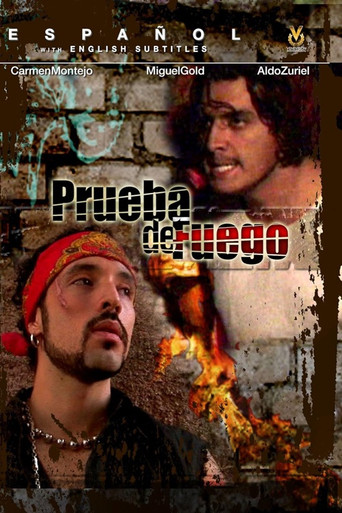 Las Ladrilleras poster